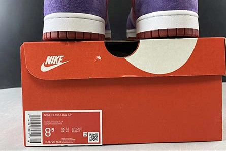 Lightweight Nike Dunk Low “Plum” CU1726-500 1145