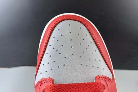 Nike Dunk Low SB CU1726-600 GoAnywhere 1131