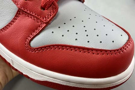 Nike Dunk Low SB CU1726-600 GoAnywhere 1131