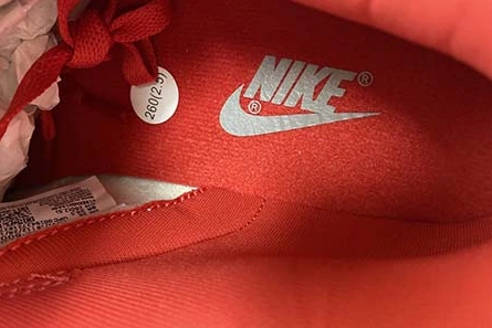Nike Dunk Low SB CU1726-600 GoAnywhere 1131
