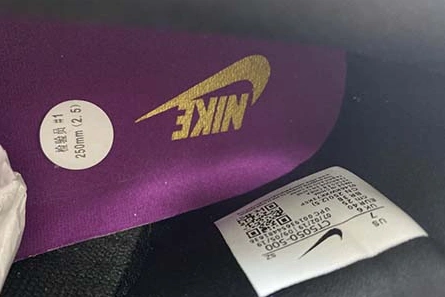 Bright Nike Dunk Low SB Viotech CT5050-500 1148