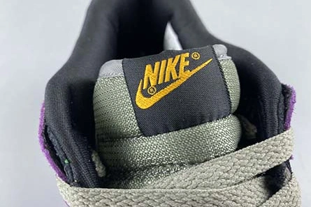 Bright Nike Dunk Low SB Viotech CT5050-500 1148
