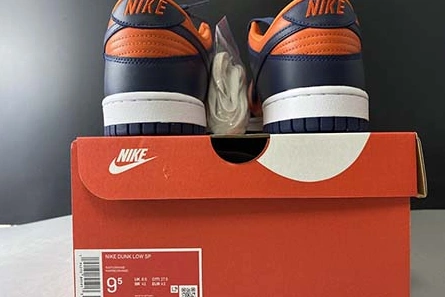 Modern Nike Dunk Low SP CU1727-800 1136