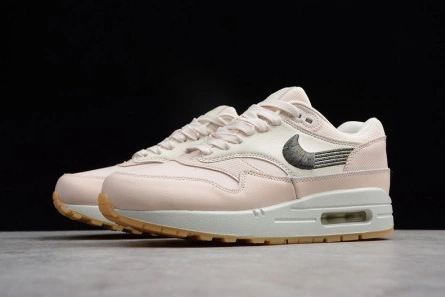 Bold Nike WMNS Air Max 1 Premium Pink | 454746-800 1306