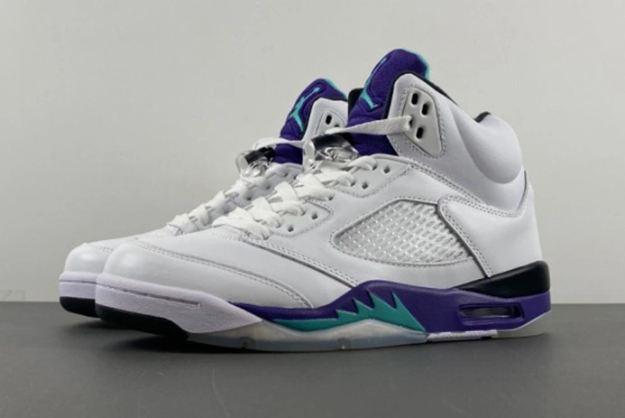 1877 Jordan 5 Retro Grape  136027- DailyWear 547