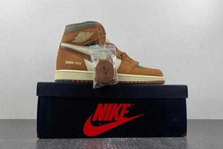 3817 Gore-Tex Air Jordan 1 High DB2889- Refined 56