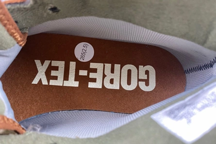 3817 Gore-Tex Air Jordan 1 High DB2889- Refined 56