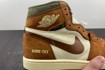 3817 Gore-Tex Air Jordan 1 High DB2889- Refined 56