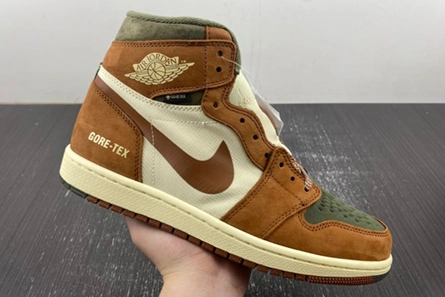 3817 Gore-Tex Air Jordan 1 High DB2889- Refined 56