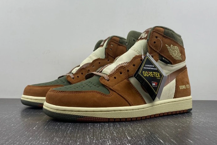 3817 Gore-Tex Air Jordan 1 High DB2889- Refined 56