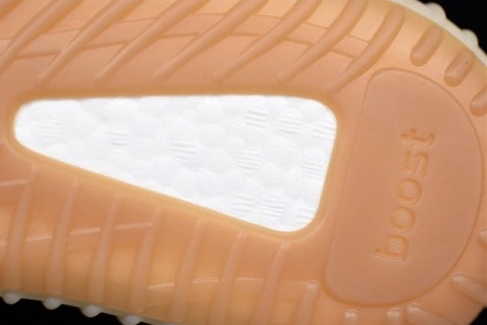 9078 Adidas Yeezy Boost 350 V2 F Refined 1831