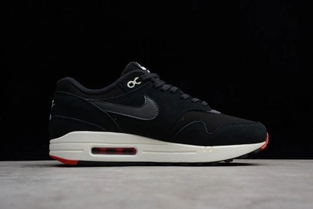 EyeCatching 2900 Nike Air Max 1 Premium 1312
