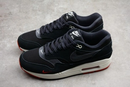EyeCatching 2900 Nike Air Max 1 Premium 1312