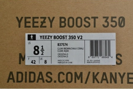 4899 Adidas Yeezy Boost 350 V2 Chalk Coral B StreetReady 1785