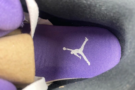 Modern 8793 Air Jordan 3 “Dark Iris” CT8532- 404