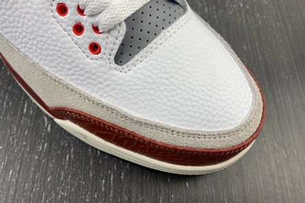3031 Jordan 3 Retro SE Dunk on Mars DV7028- Durable 381