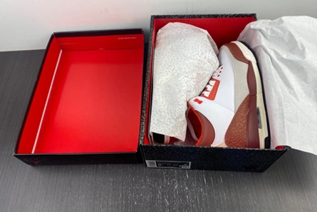 3031 Jordan 3 Retro SE Dunk on Mars DV7028- Durable 381