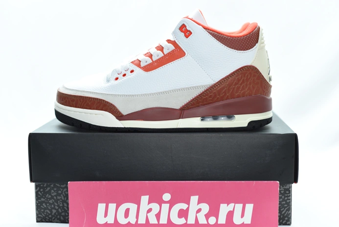 3031 Jordan 3 Retro SE Dunk on Mars DV7028- Durable 381