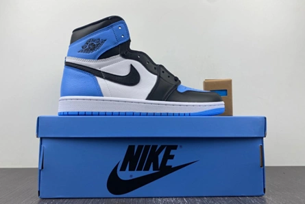 4232 Air Jordan 1 High DZ5485- GoAnywhere 142
