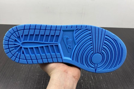 4232 Air Jordan 1 High DZ5485- GoAnywhere 142