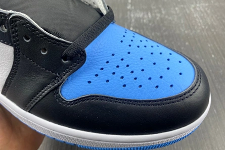 4232 Air Jordan 1 High DZ5485- GoAnywhere 142