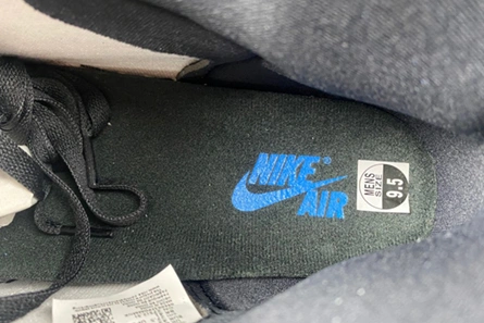 4232 Air Jordan 1 High DZ5485- GoAnywhere 142