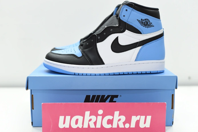 4232 Air Jordan 1 High DZ5485- GoAnywhere 142