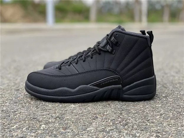7359 Air Jordan 12 Winterized Black Anthracite BQ6851- Popular 786