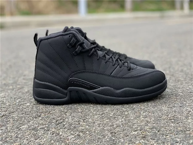 7359 Air Jordan 12 Winterized Black Anthracite BQ6851- Popular 786