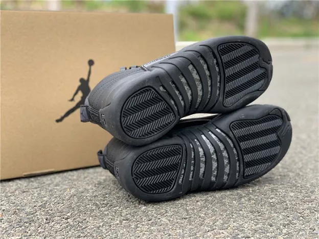 7359 Air Jordan 12 Winterized Black Anthracite BQ6851- Popular 786