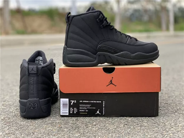7359 Air Jordan 12 Winterized Black Anthracite BQ6851- Popular 786