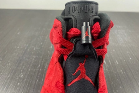 Functional 6010 Jordan 6 Retro CT8529- 610