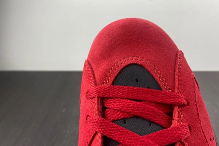 Functional 6010 Jordan 6 Retro CT8529- 610