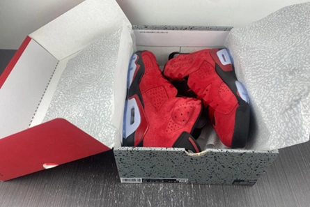 Functional 6010 Jordan 6 Retro CT8529- 610