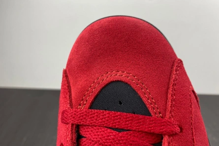 Functional 6010 Jordan 6 Retro CT8529- 610