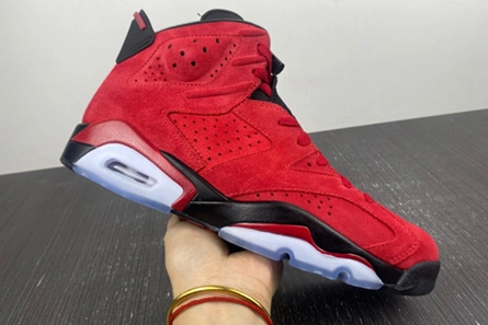 Functional 6010 Jordan 6 Retro CT8529- 610