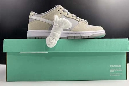 Comfortable 【TOM】Nike Dunk SB L TRD AR0778-110 1123