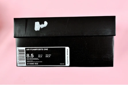 Minimalist 613 NIKE AIR FOAMPOSITE ONE "RUST PINK" white  black 314966- 1552
