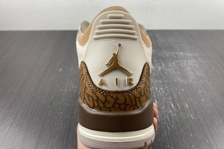 9353 Air Jordan 3 “Palomino” CT8532- StreetReady 379