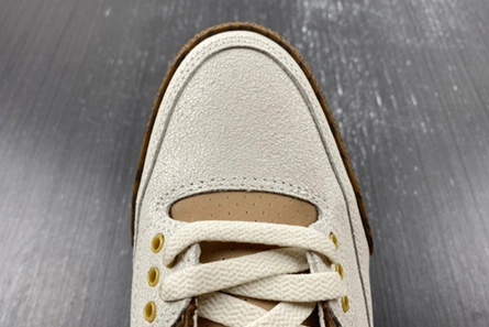 9353 Air Jordan 3 “Palomino” CT8532- StreetReady 379