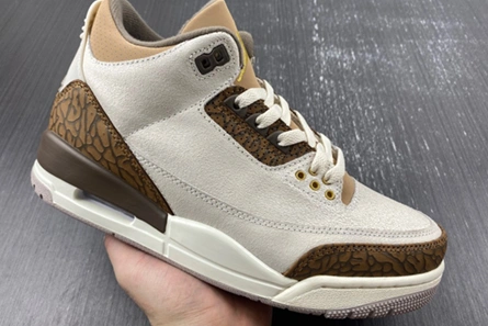 9353 Air Jordan 3 “Palomino” CT8532- StreetReady 379