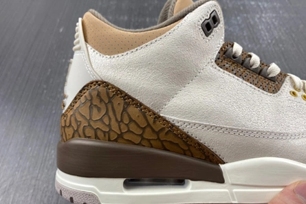 9353 Air Jordan 3 “Palomino” CT8532- StreetReady 379