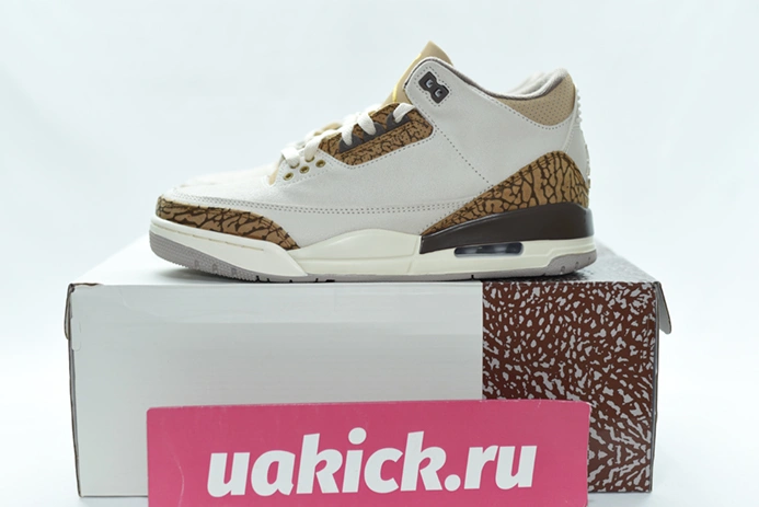 9353 Air Jordan 3 “Palomino” CT8532- StreetReady 379