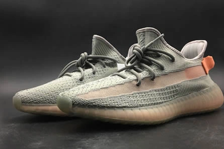 Yeezy Boost 350 V2 True Form EG7492 WellDesigned 4349
