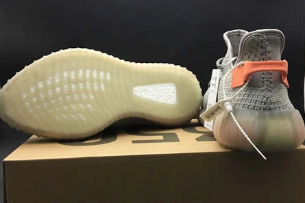Yeezy Boost 350 V2 True Form EG7492 WellDesigned 4349