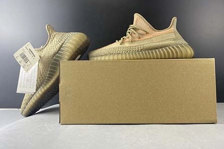adidas Yeezy Boost 350 V2 FZ5240 Bold 1690