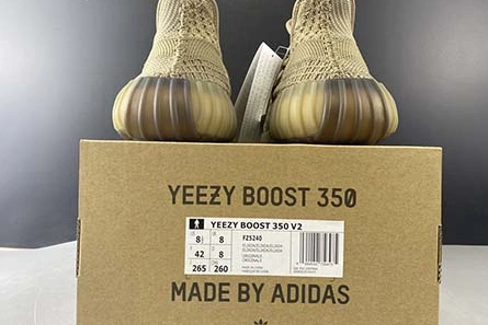 adidas Yeezy Boost 350 V2 FZ5240 Bold 1690