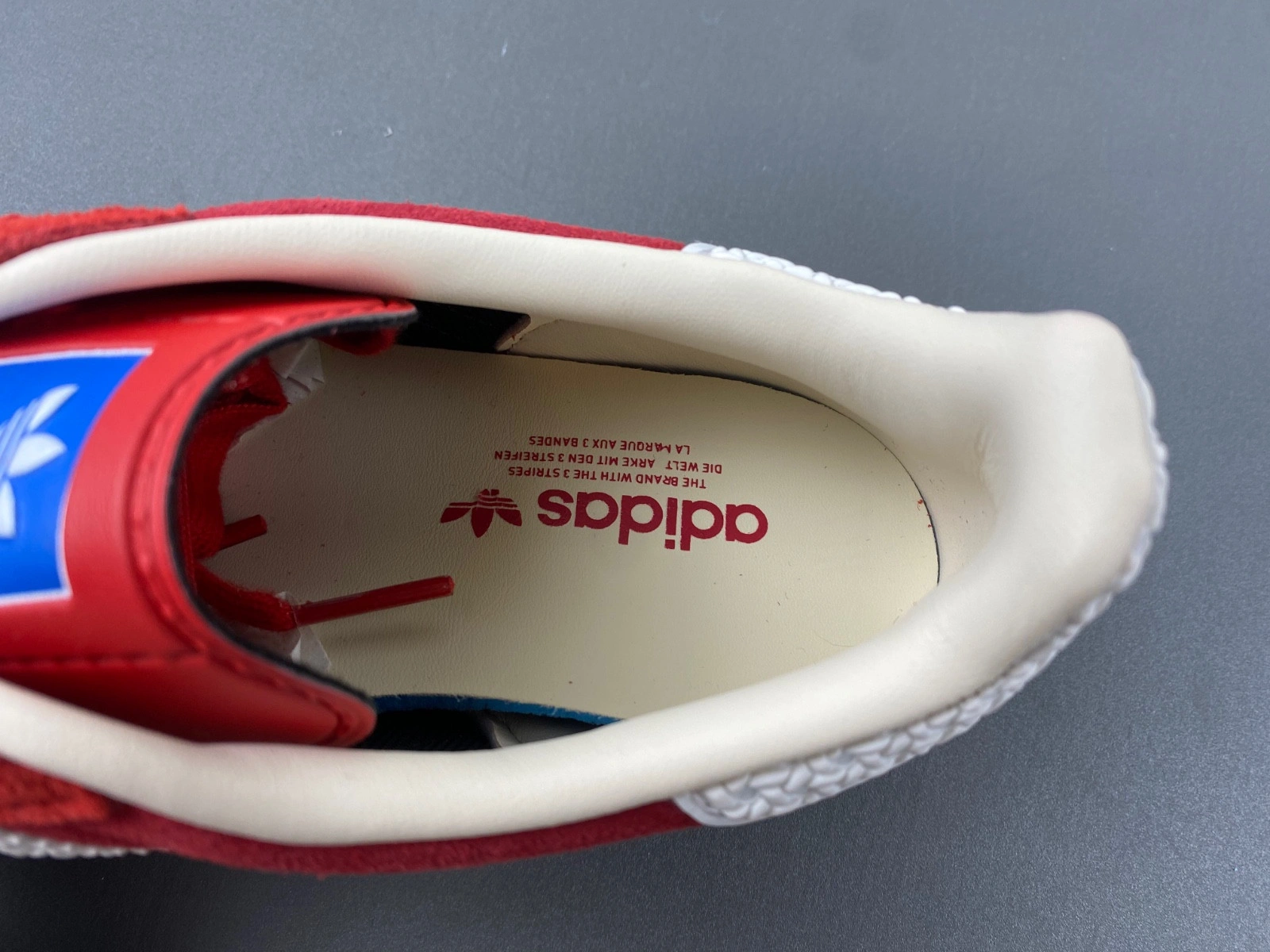 Adidas Gazelle Indoor Scarlet Cloud White H06261