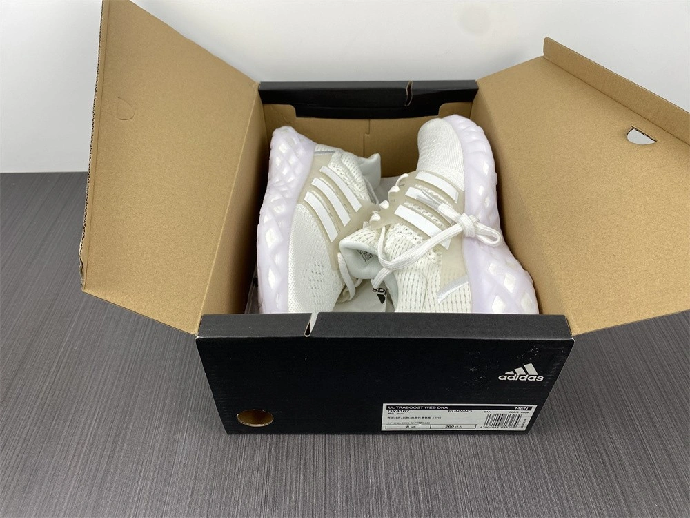 Adidas Ultra Boost Web DNA Cloud White Grey GY4167