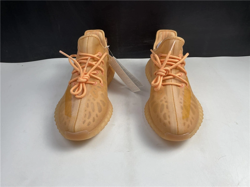 Adidas Yeezy Boost 350 V2 Mono Clay - GW2870